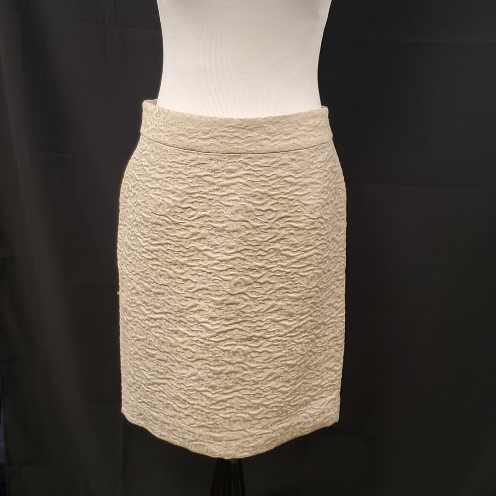 Banana Republic NWT Gold Textured Skirt SZ 6P